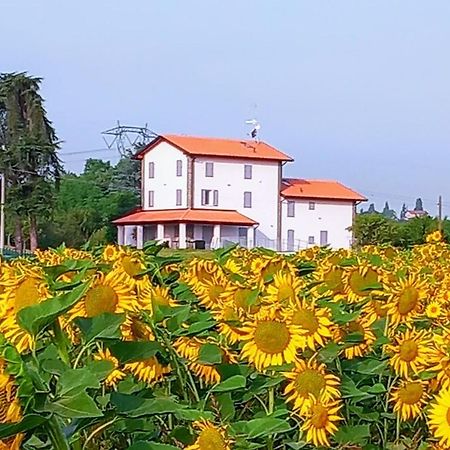 La Collinetta B&B Crespellano Extérieur photo