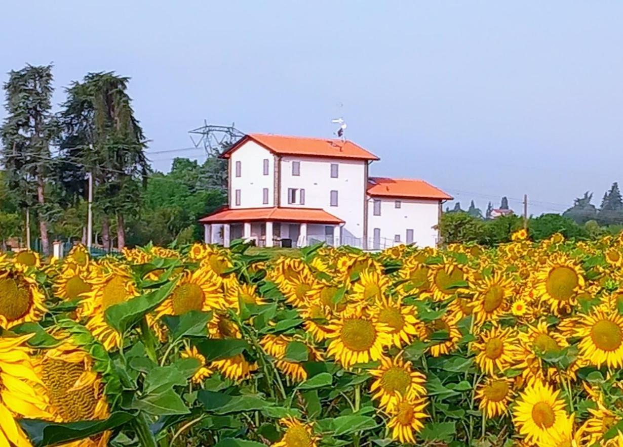 La Collinetta B&B Crespellano Extérieur photo